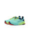 Olympus 6 Sport Shoes Trail Running Teal