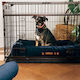 Sahpatzidis Dog Wire Crate