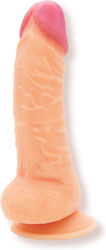 Realistisches Dildo mit Hoden und Saugnapf Fleisch 19cm