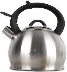Blaumann Stainless Steel Teapot 3000ml