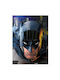 Poster 3D Batman Cowl Scowl Popheads