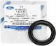 Crankshaft Oil Seal Front