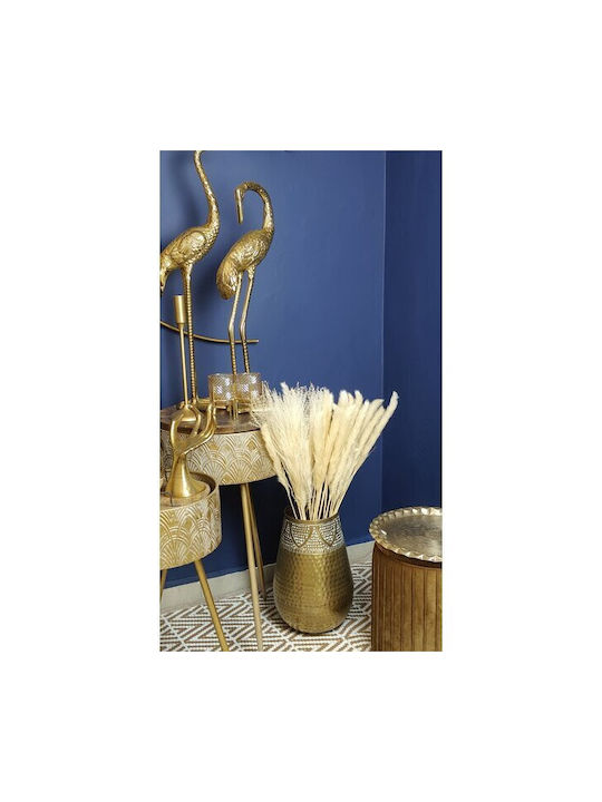 Pampas Reed Fluffy Dried Flower 70g Height 75cm