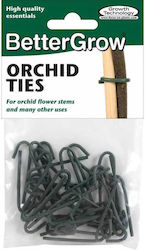 Bettergrow Orchid Ties Green