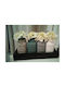Tray with Flower Vases