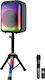 Boxă Karaoke cu Microfon Wireless și Efecte de Iluminare SM-B122 Negru