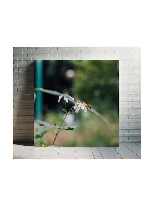 Πίνακας Bees On Daisy Flowers Μέλισσες Στα Λουλούδια Μαργαρίτας 120x120