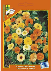 Geniki Fytotechniki Athinon Semințe Calendulaς Multicolor Geniki Fytotechniki Athinon Semințe Calendulaς Multicolor