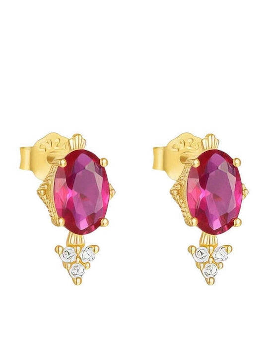 Charmy Earrings made of Silver with Stones