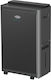 Carrier Dual Clean Entfeuchter mit Kompressor I...
