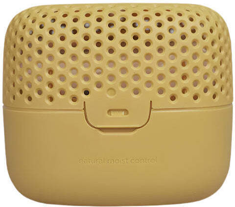 Absodry Duo Family Bag Series 3 Chanterelles