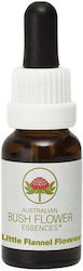Australian Little Flower Flannels Bush Ανθοΐαμα 15ml