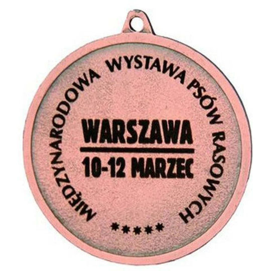 Victoria Sport Bronzemedaille Weltraum-Emblem 25 mm Stahlmedaille Lasergravur Rmi