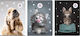Beniamin Set 5 Notizbücher Quadrat
