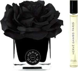 Histoires de Parfums Σετ Αρωματικών Χώρου 10ml