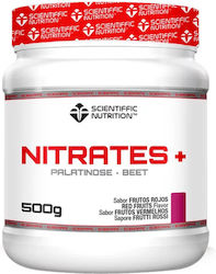 Scientiffic Nutrition Nitrates+ 500gr Red Fruits Scientiffic Nutrition Nitrates+ 500gr Red Fruits