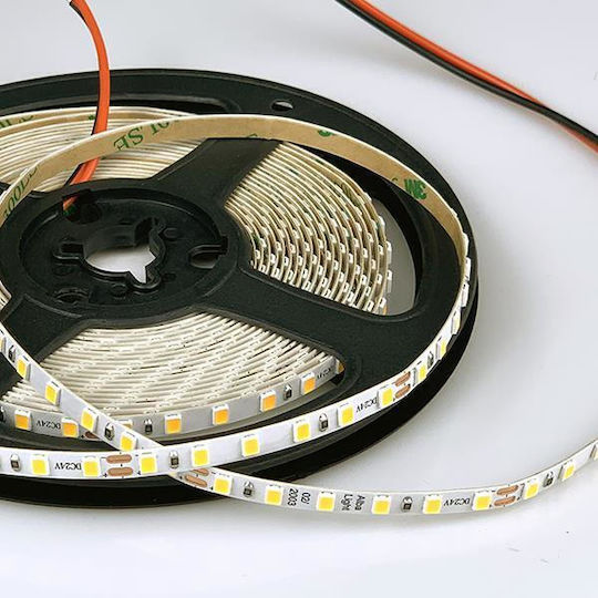 Eurolamp Ταινία LED 220V Θερμό Λευκό Φως 10m