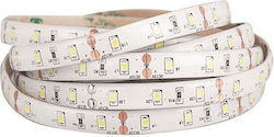 Eurolamp LED Strip 24V Warm White Light 5m SMD2...