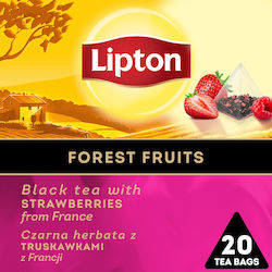 Lipton Schwarz Tee Früchte 20 Beutel 34gr 1Stück