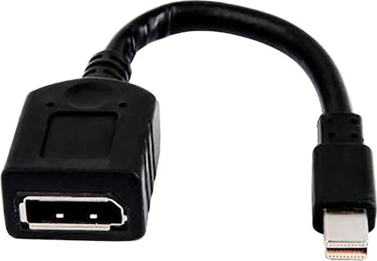 HP Convertor DisplayPort masculin în DisplayPort feminin 1buc 2MY05AA