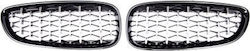 Grilă Sport Mtuning Negru Lucios & Crom BMW Z4 E89 2009-2016