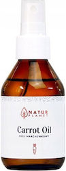 Vivio Carrot Oil 100ml