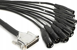 Warm Audio XLR male - XLR male 1.8m