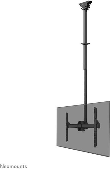 Suport TV Neomounts Cl35-440bl16l 177,8 cm 70" Negru