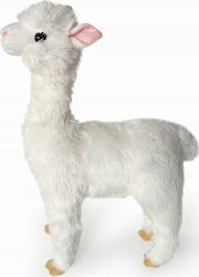 SUN-DAY Alpaca 55 cm.