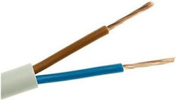 Cable 100m