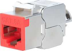 Intellinet Keystone Intellinet Keystone