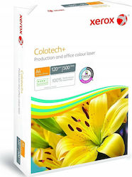 Xerox Хартия A4 120гр/кв.м 500 листове 003R99009 Xerox Хартия A4 120гр/кв.м 500 листове 003R99009