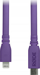 Rode Sc19 Regular la Cablu Lightning Violet 1.5m