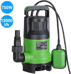 Bakaji Κινητήρας Υποβρύχιας Αντλίας 750W 02834701 Bakaji Κινητήρας Υποβρύχιας Αντλίας 750W 02834701