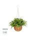 Artificial Plant in Small Pot Eucalyptus Green 30cm GloboStar