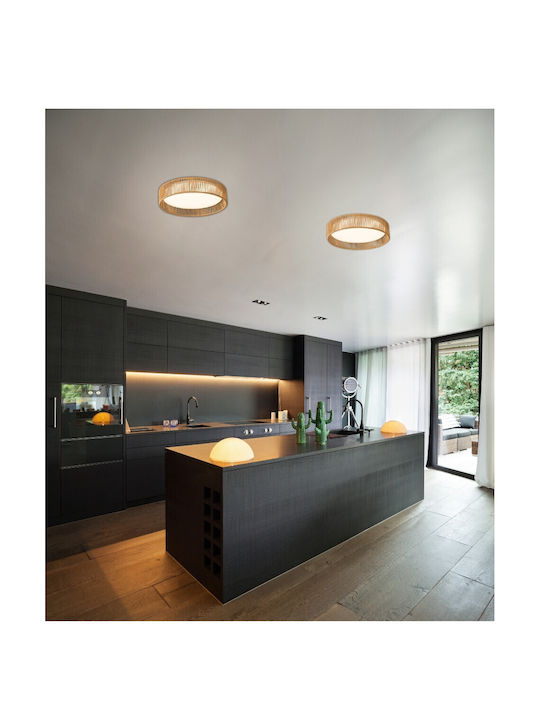 Lightex Ceiling Mount Light White with Integrated LED and Remote Control