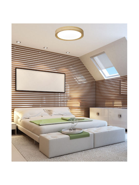 Lightex Light fixture Ceiling Mount Light Black...