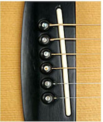 D'Addario Planet Waves Ebony Acoustic Guitar Bridge Pins Pwps 1