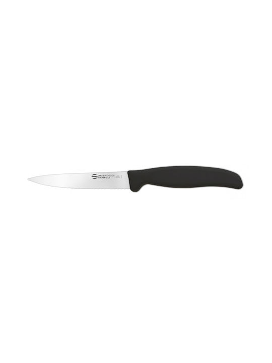 Sanelli Messer Allgemeine Verwendung aus rostfreiem Stahl 11cm