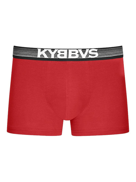 Kybbvs