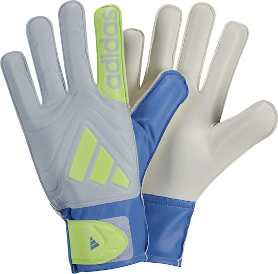 adidas Copa Adults Goalkeeper Gloves Blue