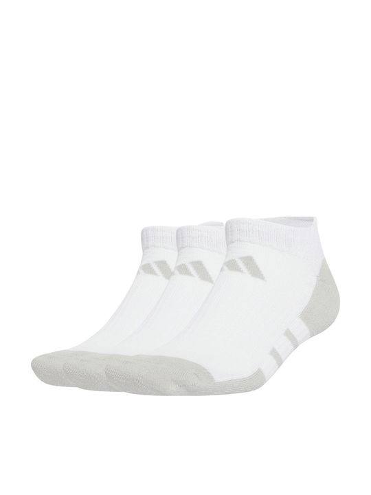 jd white socks