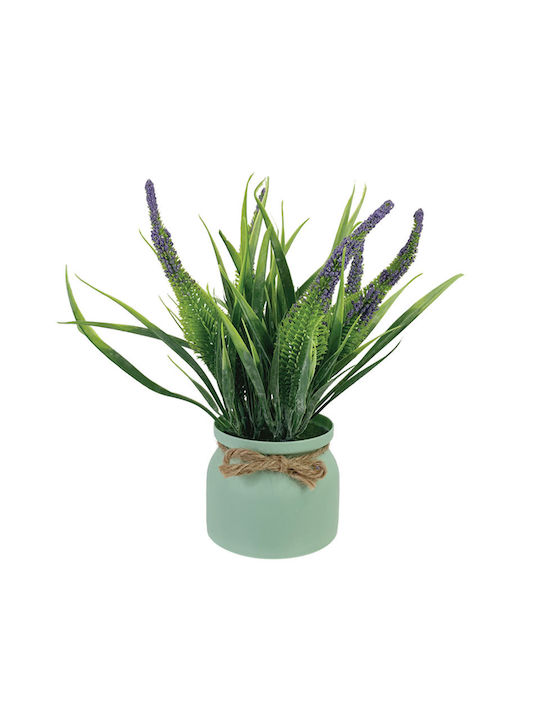 Λεβάντα σε Γλαστράκι Μωβ 27cm Marhome