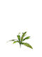 Branch Greenery Fern Synthetic 46cm A26215