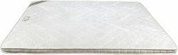 Extra Strom Пяна Педик Ановстроамафоам80200 Единичен Пяна 80x200x5см