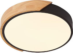 Sun Light Ceiling Light Sun Light Ceiling Light