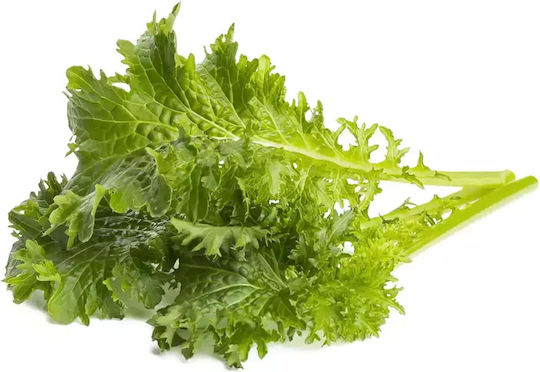 Wasabi Mustard Click & Grow Smart Garden Set 3 Pods