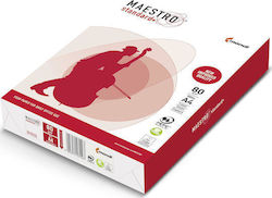 Smart Choice Χαρτί A4 80gr/m² 500 φύλλα Smart Choice Χαρτί A4 80gr/m² 500 φύλλα