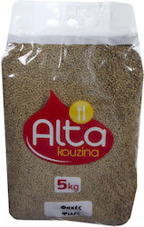 Alta Kouzina Kleine Linsen 5kg 6-55286 Alta Kouzina Kleine Linsen 5kg 6-55286