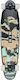 Globe Complete Longboard